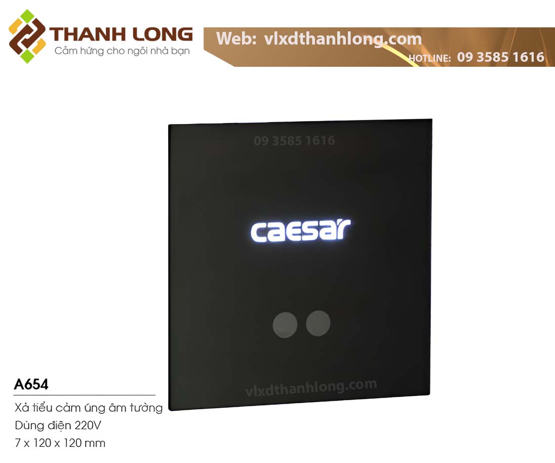 Bộ xả cảm ứng từ CAESAR