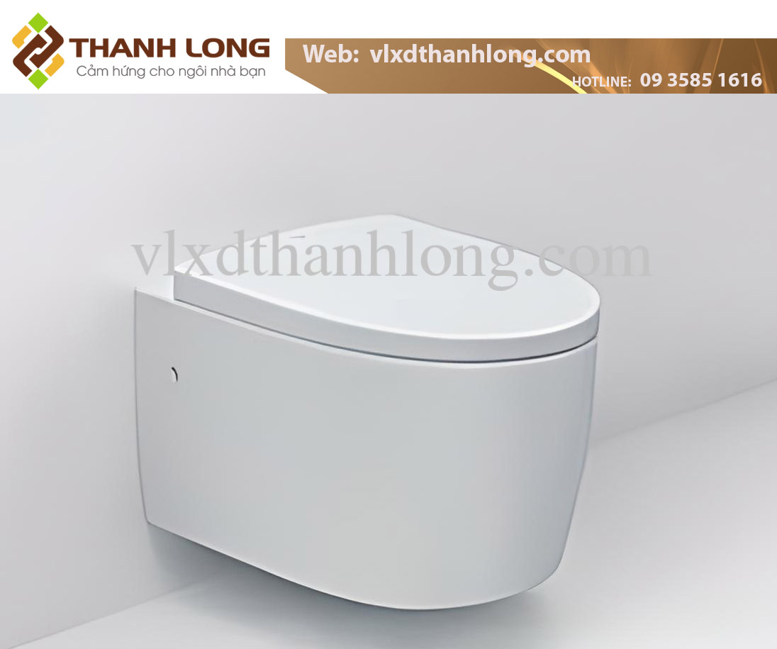 Cầu treo tường INAX