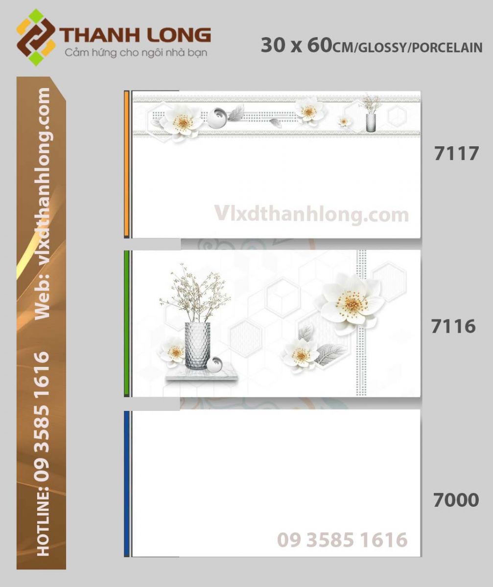 (30x60) Porcelain Glossy - Viền