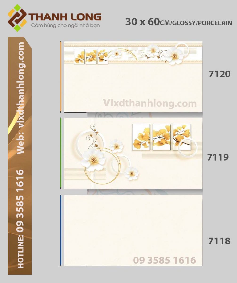 (30x60) Porcelain Glossy - Viền