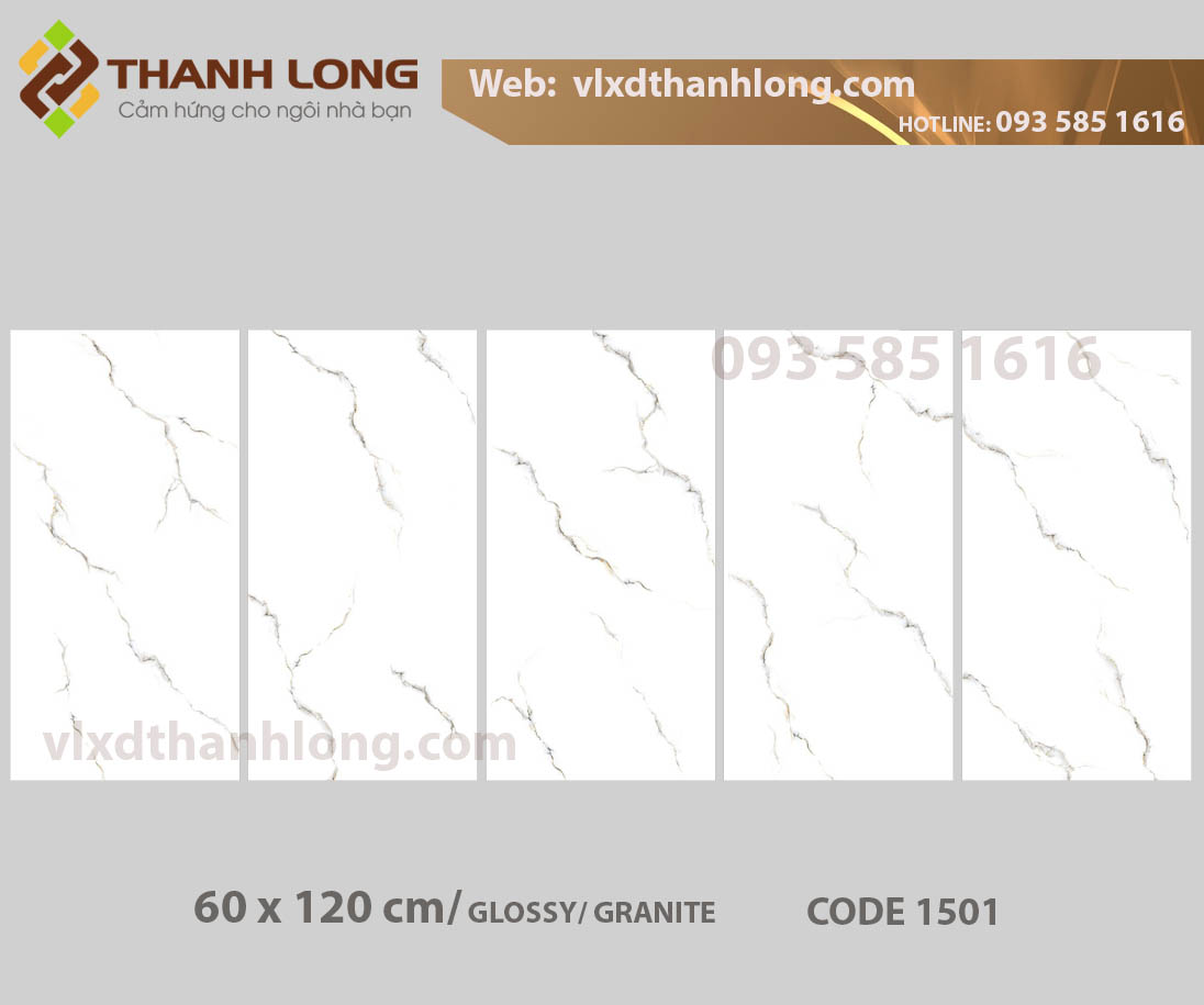 (60x120) Granite Glossy